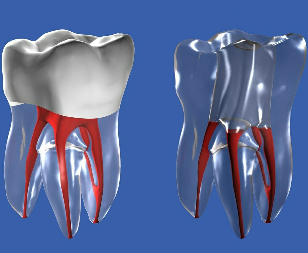 I.S DENTAL CLINIC RAMANATTUKARA